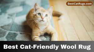 best cat rugs find best solutions for cats