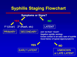 Syphilis Clinical Aspects Epidemiology And Control Ppt