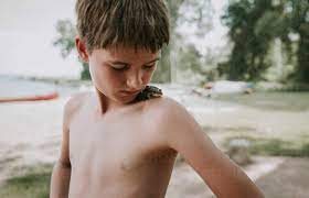 Close-up of shirtless boy looking at frog on shoulder while standing in  forest stock photo