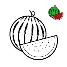 Some of the coloring page names are watermelon coloring best coloring for kids, watermelon slice coloring fruits and vegetables, watermelon coloring in 2020 with images watermelon drawing fruit coloring, coloring trend medium size yellow watermelon melon coloring color medium size yellow, cute watermelon coloring at colorings to. Watermelon Coloring Stock Illustrations 755 Watermelon Coloring Stock Illustrations Vectors Clipart Dreamstime