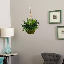 Nearly Natural Indoor Outdoor Agave And Maiden Hair Artificial Plant In Hanging Basket