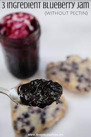 3 ing blueberry jam without
