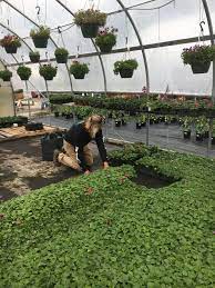 garden center jobs shady hill greenhouses