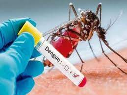 Nearly 70,000 Dengue Cases Registered In UP Since 2015: NCVBDC Data | TheHealthSite.com
