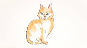 Draw a bow at the gap. 4 Ways To Draw A Cat Wikihow