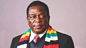 Image result for zimbabwe president