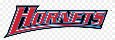 Delaware state is a public university located in dover, delaware. Delaware State Hornets Logo Png Transparent Delaware State University Football Logo Png Download 2400x2400 6009767 Pngfind