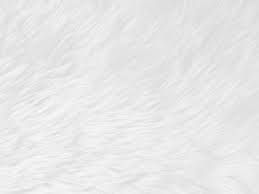 white fur texture images free