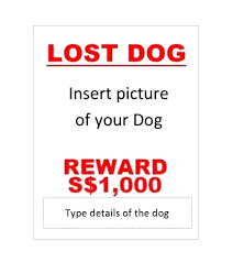 Lost Cat Poster Template Pet Flyers Missing Dog Archive Free