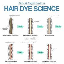 how do diffe types of hair dye work