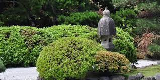 Backyard Zen Garden On A Budget