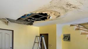 A Beginner S Guide To Ceiling Repair