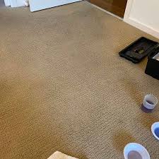 carpet dyeing service quality floor