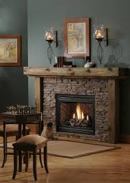 Fireplace Stoves The Firebird