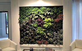 How To Install Your Indoor Greenwall