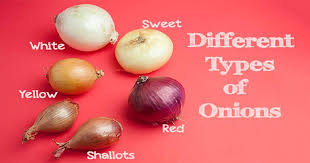 Onion Benefits and Secrets, Onion benefits, benefits of onion, secrets of onion, why to eat onion, is onion healthy, health benefits of onion