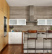 Kitchen Decorative Wall Panels Idea Blog