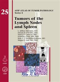 All funds must be encumbered by june 30, 2007. Afip Atlas Of Tumor Pathology Series 4 Lymph Nodes Spleen