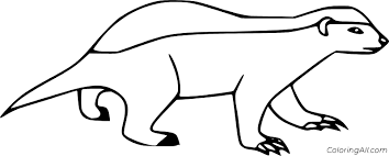 Badger forest animal printable →. Simple Honey Badger Coloring Page Coloringall