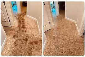 great day carpet tile cleaning