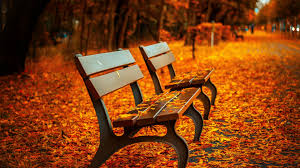 autumn wallpapers 48 images inside