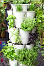 Vertical Vegetable Garden Ideas Over
