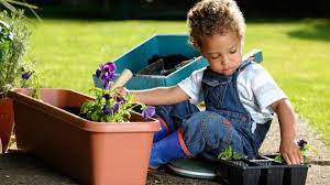 Gardening For Kids Cbeebies Bbc