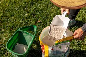 apply winter fertilizer on your lawn