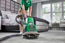 carpet rug cleaners in monticello mn