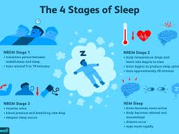 The 4 Stages Of Sleep Nrem And Rem Sleep Cycles