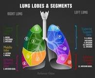 Image result for icd 10 code for left lobe pneumonia