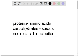 solved proteins carbohydrates and