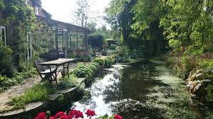 westonbury mill water gardens picture