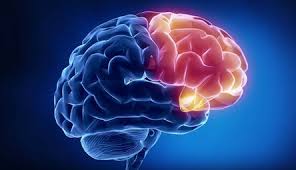 Расскажем, как лечится энцефалопатия головного мозга, к какому врачу обращаться при первых признаках. Encefalopatiya Chto Skryvaetsya Pod Maskoj