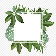 tropical leaves border clipart