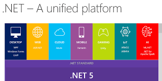 the net future net 5 and beyond