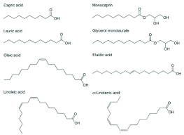 chemical structures of fatty acids and