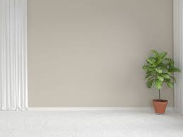 what color carpet goes with beige walls