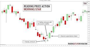 Beginners Guide To Reading Price Action Trading Setups Review