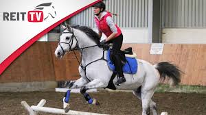 A video of (mostly dressage) horses to jumpstyle music. Springreiten Lernen Die 1 Springstunde Youtube