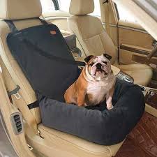 Top 10 Best Dog Car Seats In 2023