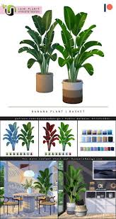 Nynaeve Design Big Potted Plants