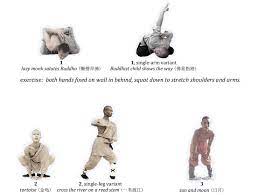 kung fu training with shaolin monks
