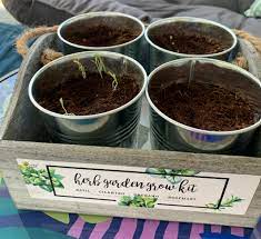 Target Organic Herb Garden Grow Kit