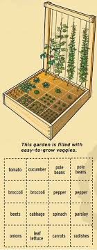 20 vegetable garden ideas vegetable