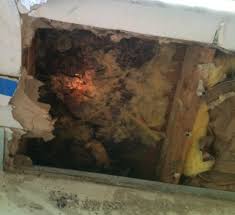 Treatment Of Black Mold Inside Walls