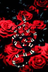 gucci snakes wallpaper to