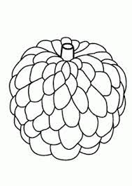 Download high quality clip art of custard apple from our collection of 65,000,000 clip art graphics. Custard Apple Fruits Coloring Pages For Kids Printable Free Fruit Coloring Pages Coloring Pages Kids Colouring Printables
