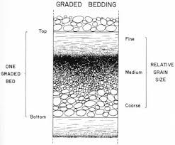 bedding plate tectonics geology