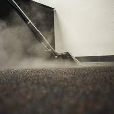 carpet cleaning lawrenceville ga